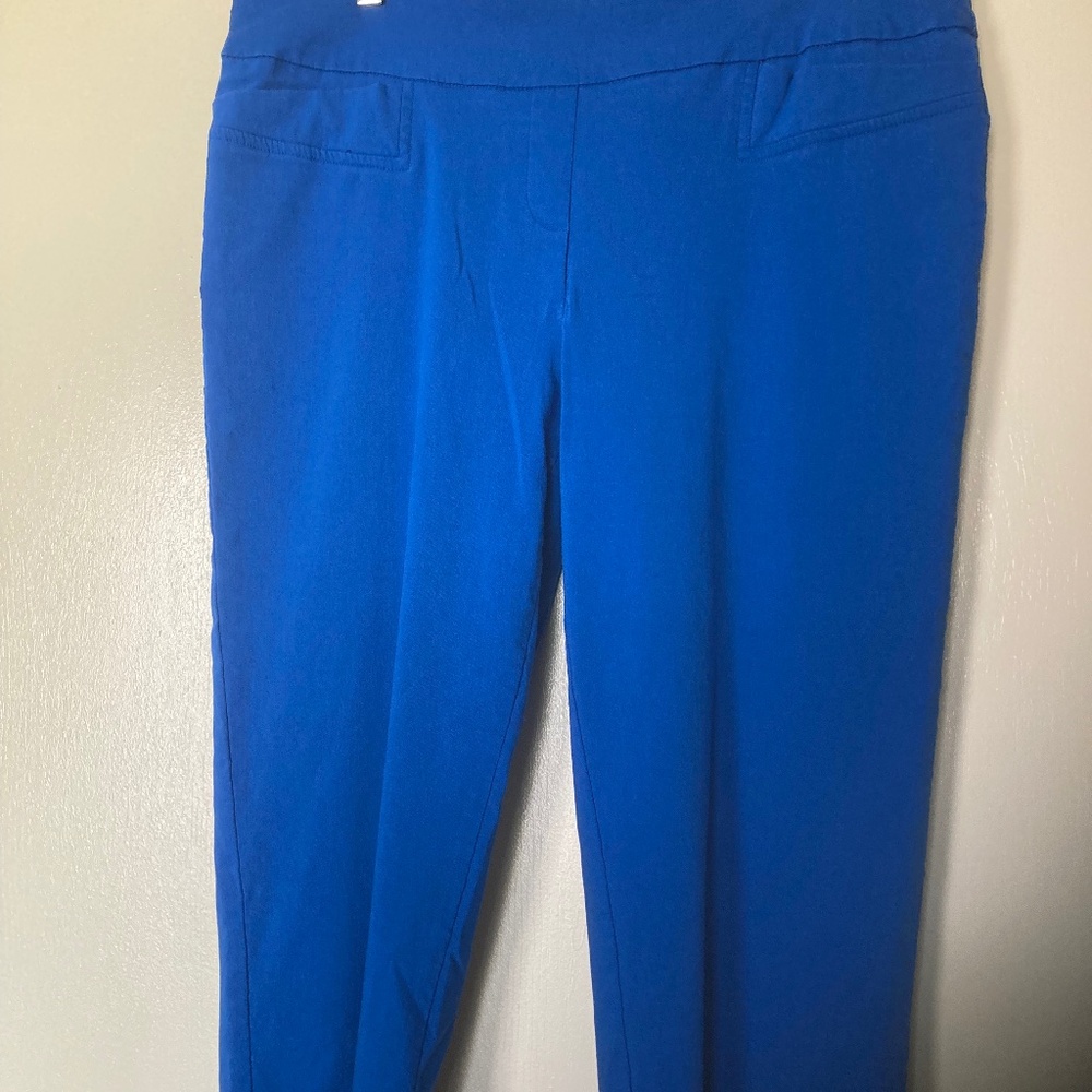 ZAC & RACHEL – Royal Blue Stretch Capris